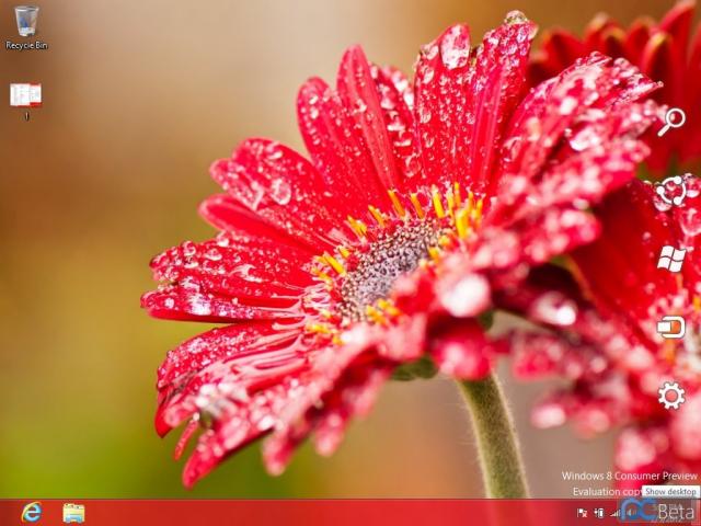 Windows 8: Brandneue Screenshots mit interessanten Details aus Build 8220 (10)