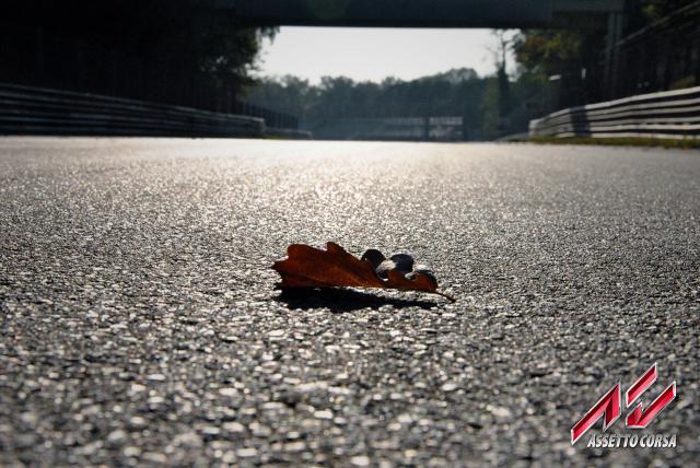 Rennspiel Assetto Corsa: Streckenbilder aus Monza (5)