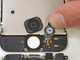 Apple iPhone 5S: Release, Display, Preis, Homebutton oder doch iPhone6? Alle Gerüchte