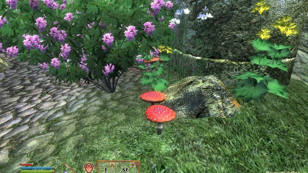 Erinnerungen an Oblivion: So sah das Original mit Mods 2009 aus