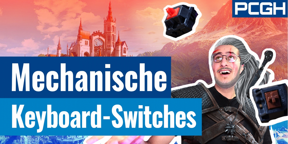 Mechanische Keyboard Switches fürs Gaming: Welcher Tastatur-Schalter passt? PCGH-Basiswissen