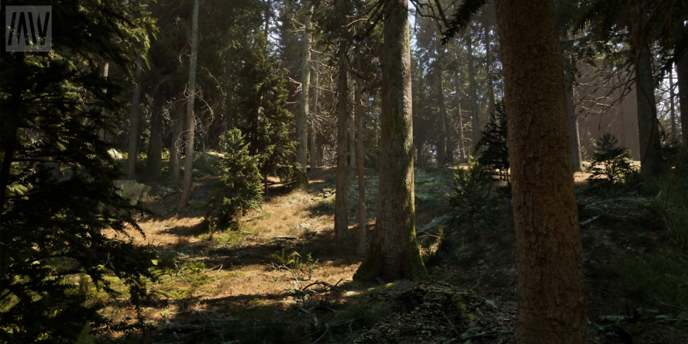 Unreal Engine 5: Beeindruckende Grafikdemo zeigt Nadelwald in drei Settings