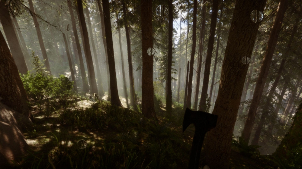 Hogwarts Legacy in 10.320 × 1.440, Sons of The Forest in 5.760 × 1.080: Neue Widescreen-Meisterwerke