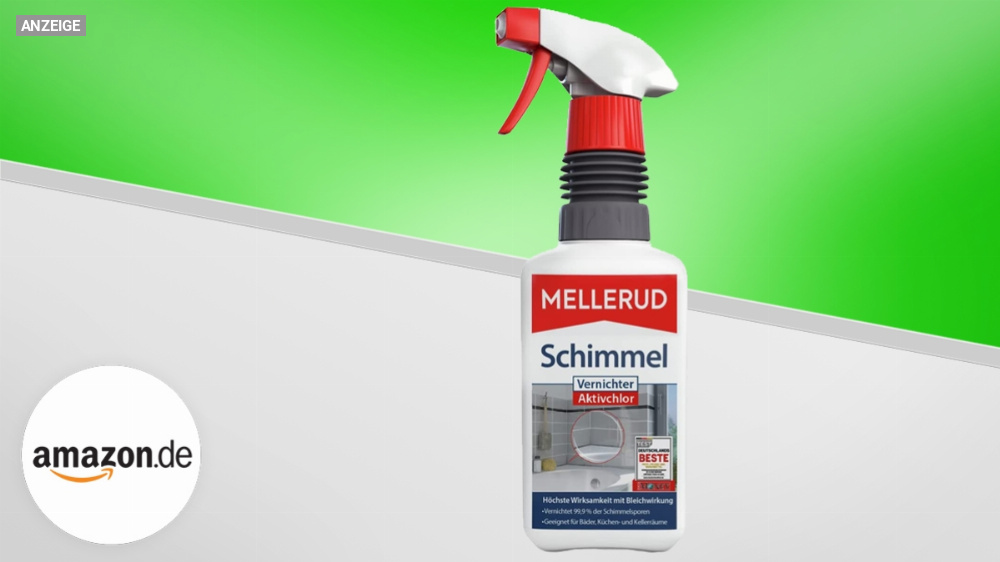 Schimmel entfernen: Besser gleich auf den Bestseller Nr. 1 bei Amazon setzen