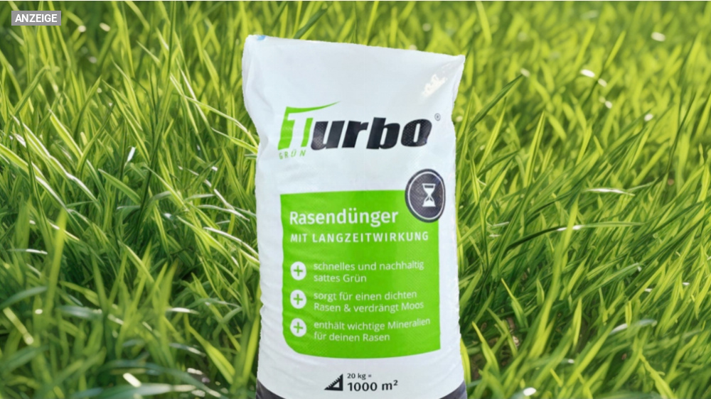 Der beste Rasendünger? Turbogrün-Dünger mit Langzweitwirkung verkauft sich bei Amazon rasend schnell