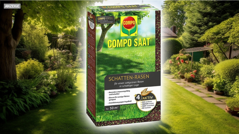 36 % Rabatt auf Rasensamen: Compo Saat Grassamen (nicht nur) für Schatten-Rasen günstiger kaufen