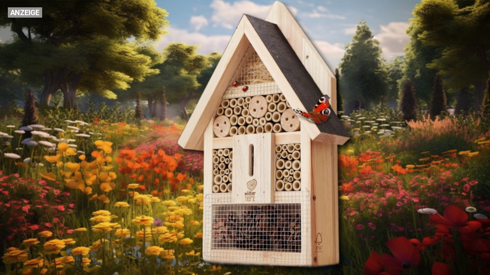 Bienen retten war noch nie günstiger: Nachhaltiges Insektenhotel mit 50 % Rabatt jetzt bei Amazon kaufen