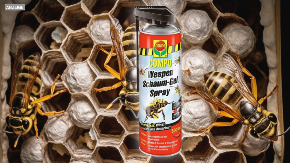 Hilft gegen Wespen - Schaum-Gel-Spray von Compo: Amazon-Bestseller Nr. 1 jetzt mit 24 % Rabatt
