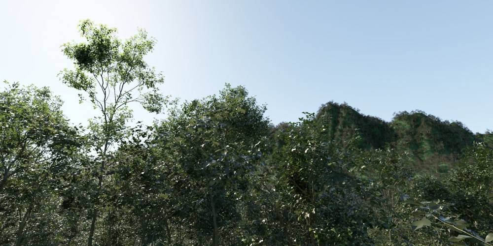 Wald-Rendering mit 1 Billion Dreiecken.