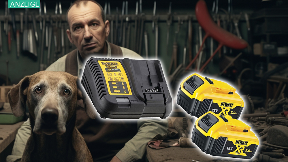 Preis halbiert! Dewalt Akku-Starter-Kit mit Ladegerät und 2× 18V-Akku 5,0 Ah bei Amazon
