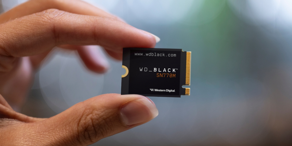 WD BLACK SN770M in der Hand