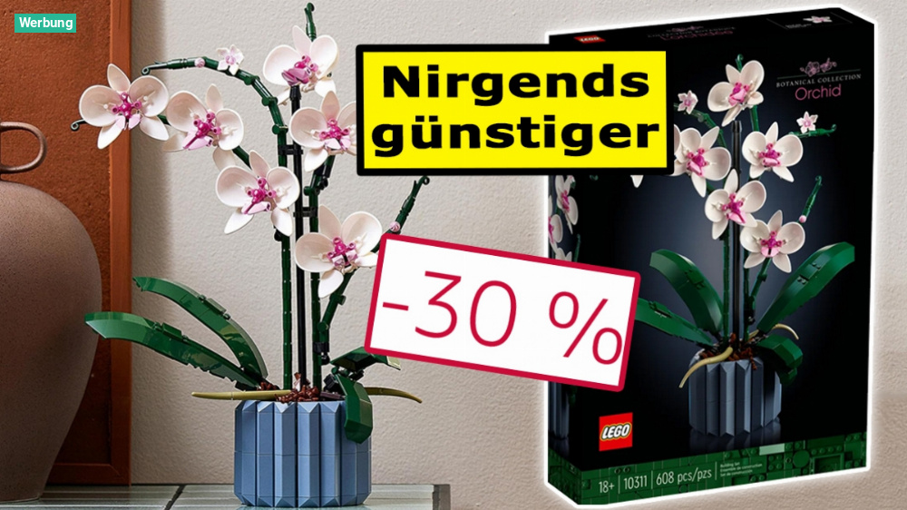 Diese Blume verwelkt nie: Lego Icons Orchidee als Weihnachtsgeschenk stürmt Bestseller-Liste