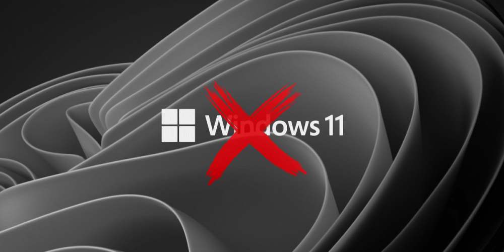 Windows 11