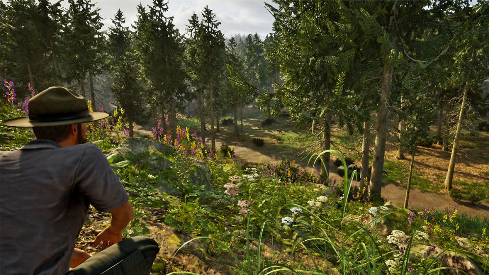 Neuer Simulator aus Deutschland: Spieler zeigen Park Ranger auf Steam die rote Karte