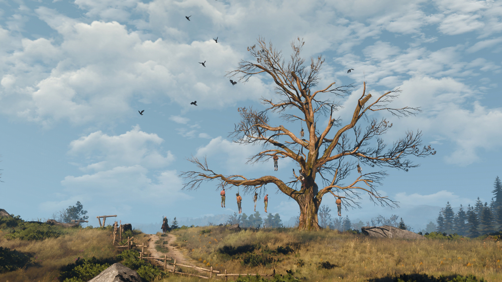 Community-Screenshots: Witcher 3 mit DLSS 4 bringt eine 3 GHz RTX 4090 ins Schwitzen