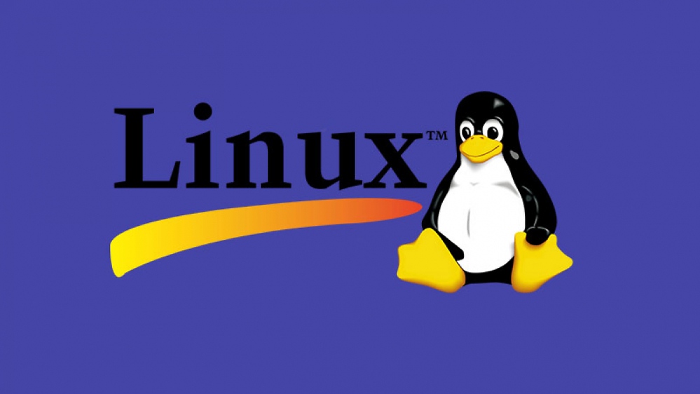 Aus für Linux: Nexus Mods stellt Multiplattform-Mod-Manager ein