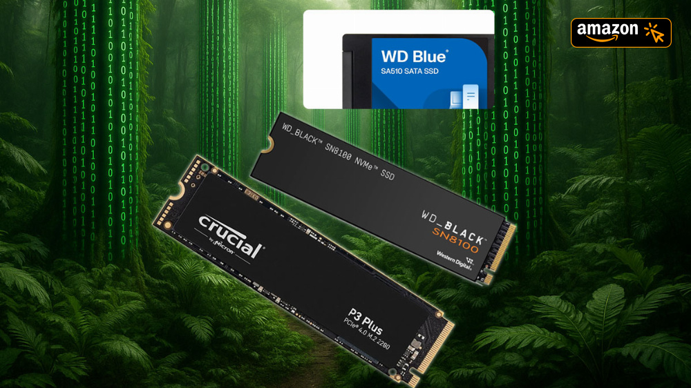 Nur für kurze Zeit ab ca. 33 Euro: Amazon kürzt Preise bei SSDs von WD, Crucial und Co.