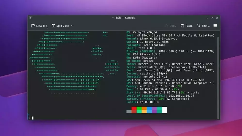 CachyOS: Juli-Release mit FSR 4, Anti-Lag 2 und Linux 6.15