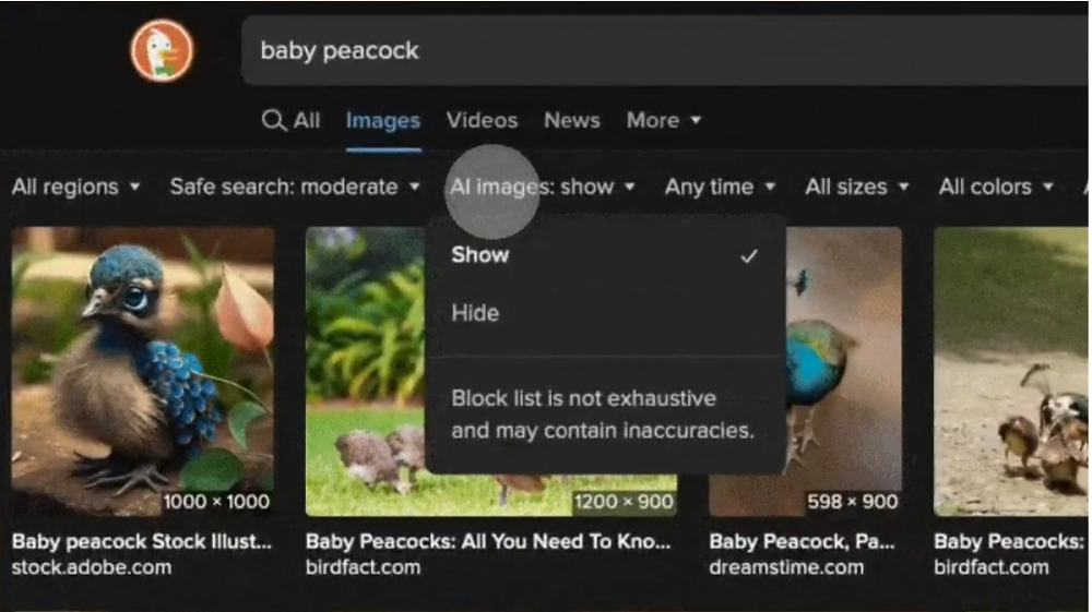 Duckduckgo: Suchmaschine lässt Nutzer KI-Bilder ausblenden - für bessere Ergebnisse