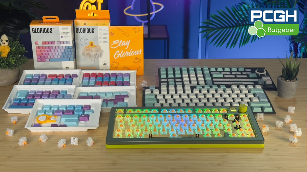 Kaufberatung für Custom-Gaming-Tastaturen: Tastenschalter-Tipps und coole Keycaps