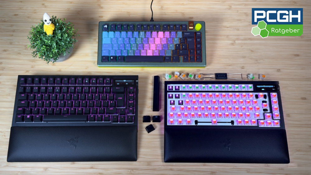 Kaufberatung für Custom-Gaming-Tastaturen: Coole Keyboards selbst gebaut!