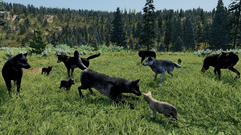 Neue Life-Sim WolfQuest auf Steam: Ungewöhnliches Konzept, doch fast alle lieben es