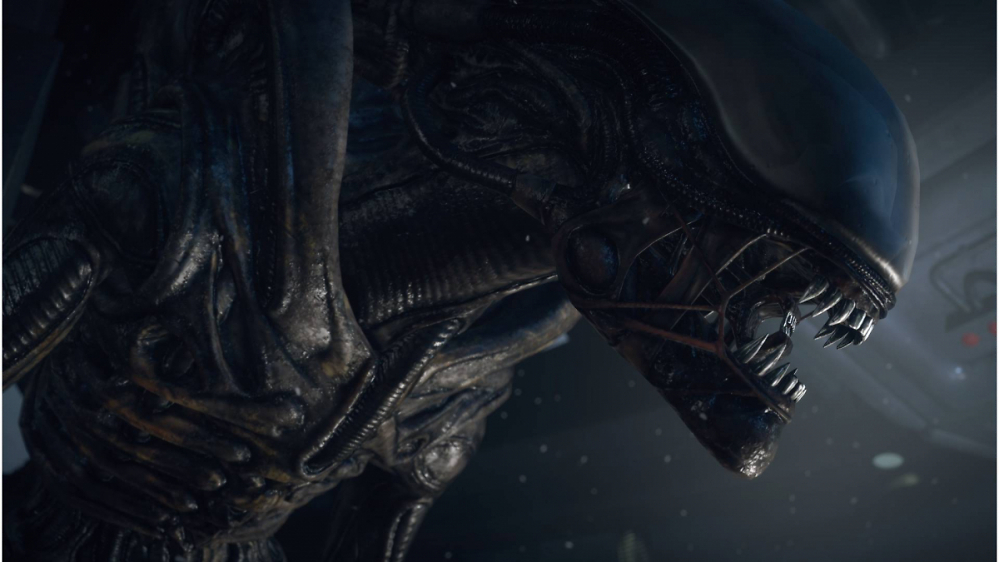 Vorfreude: Neues Alien-Spiel als "Shadow of the Tomb Raider mit Xenomorphs"?