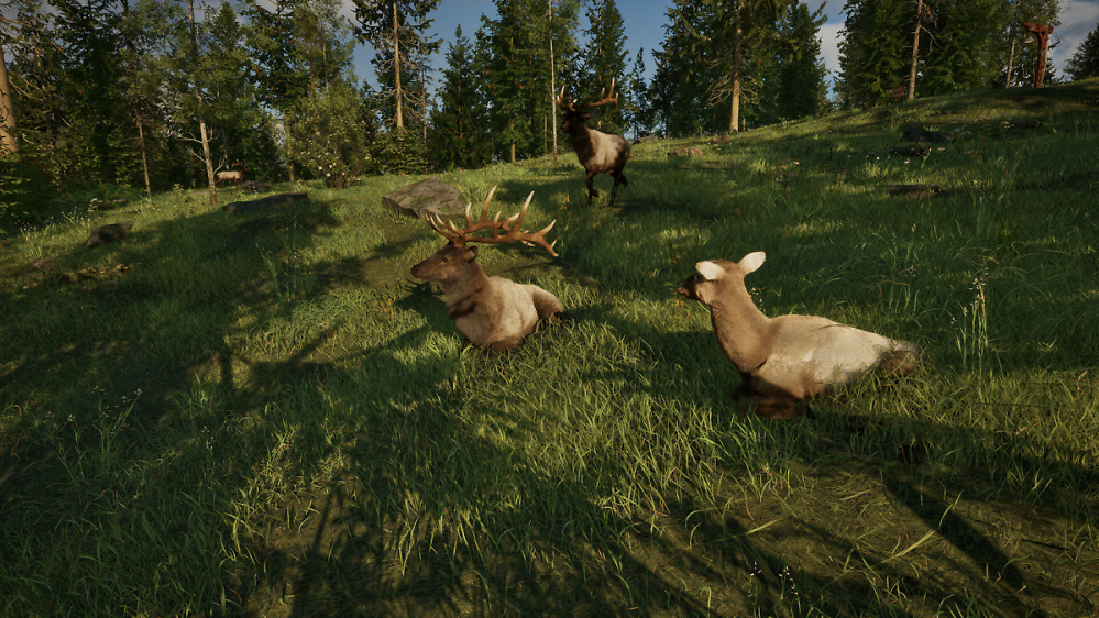 Bald auf Steam: Nationalpark-Simulator von deutschem Publisher