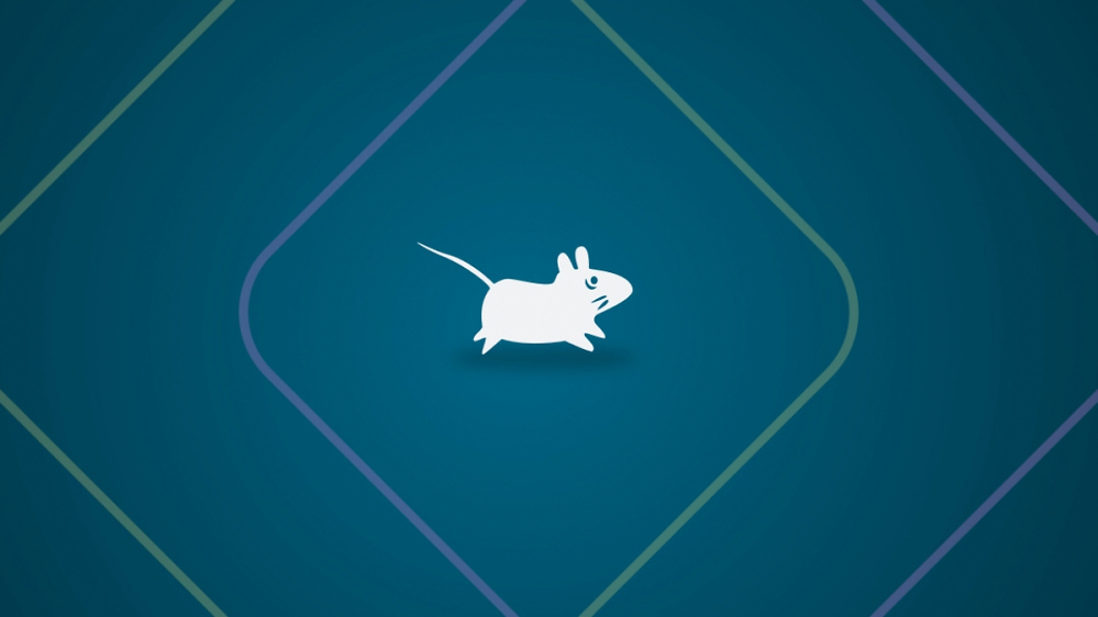 Xfce: Schlanker Linux-Desktop erhält Wayland-Support