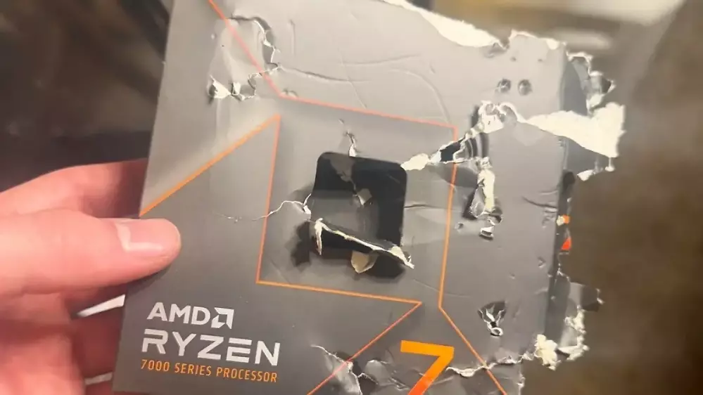 "Mein Hund hat die CPU gefressen": Deckt AMDs Garantie einen solchen Fall ab?