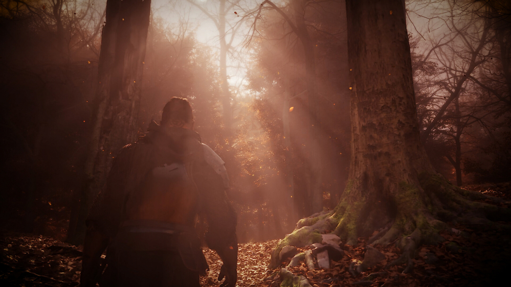 The Vernyhorn ein Geheimtipp für RPG-Fans? Anleihen bei The Witcher mit Top-Grafik