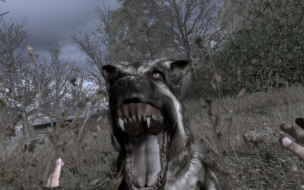 Call of Duty 4, 1680x1050 resized / Max Details / 0xAA 16xAF (Bild: 'GanjaBob', 3dcenter.de)