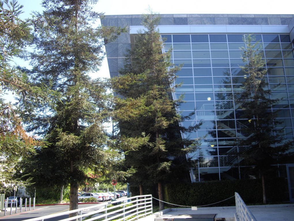 Nvidia Headquarter (Bild: PCGH)