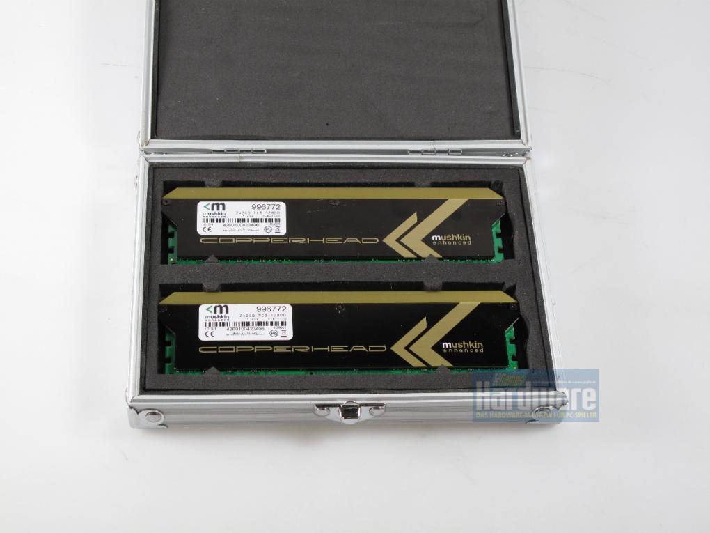 Die Module ruhen in der Verpackung auf weichem Grund.
