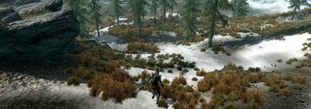 Skyrim Benchmark
