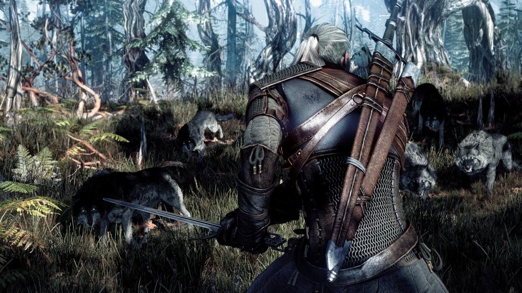 The Witcher 3: Countdown auf der Webseite und viele Details zur Engine