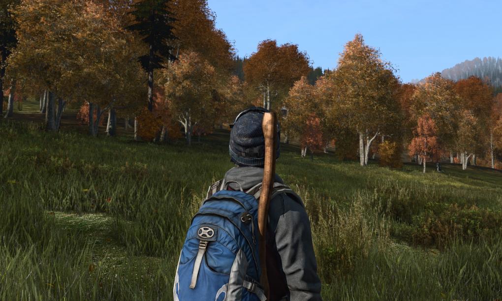 DayZ: Bild aus der Anzahl by K-putt