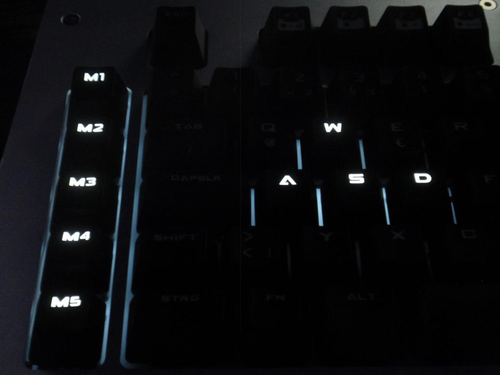 Die MECH im Game-Modus: Nur die Makro-Tasten, WASD und die Cursortasten sind beleuchtet.