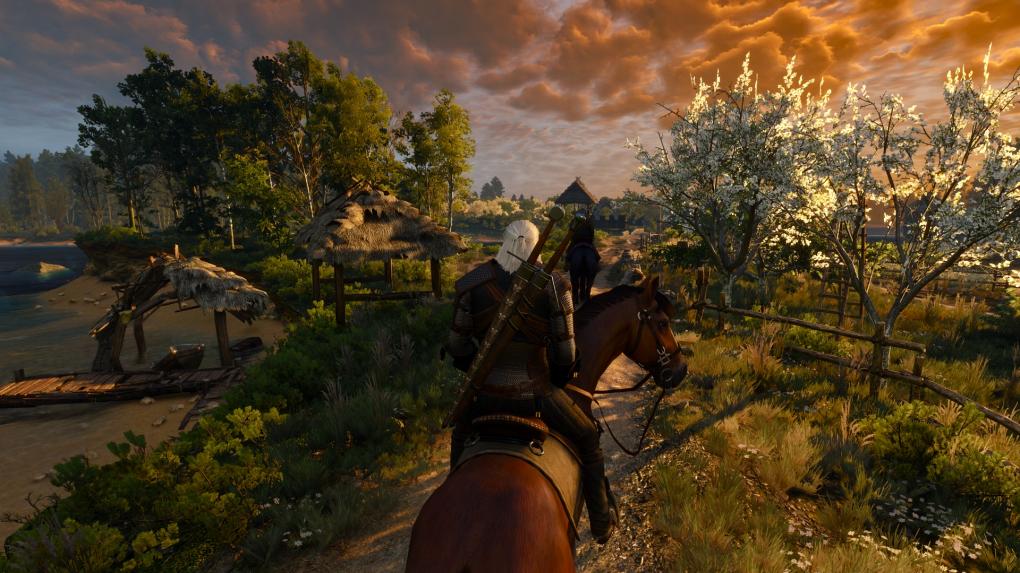 The Witcher 3 - Rechts nicht im Bild: Der fehlende Grashalm.