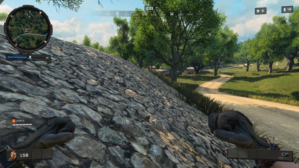 Die Landschaftsdarstellung wird offenbar mittels Tessellation erweitert (siehe sichtbare Geometrie-Struktur). Die meisten Texturen erhalten zudem mittels Parallax-Occlusion-Mapping einen dreidimensionalen Eindruck.