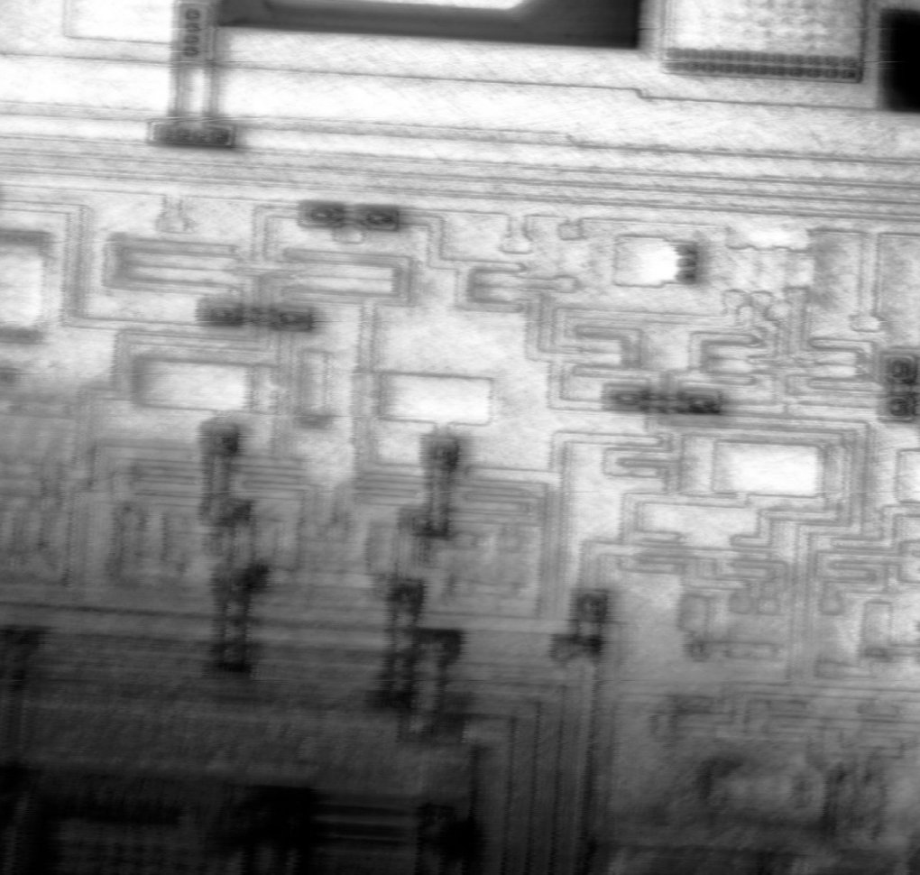 Die-Shot mit dem selbstgebauten Laser-Scanning-Mikroskop