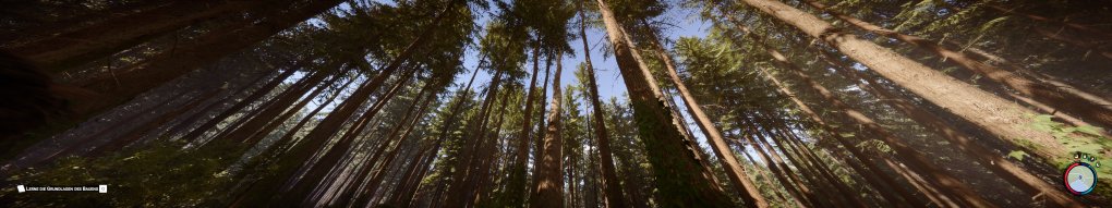 Sons of The Forest