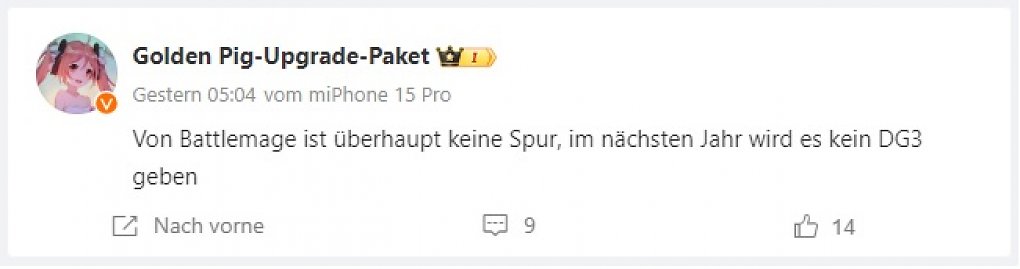 Der Leaker Golden Pig Upgrade Package äußert seine Zweifel am prognostizierten Release von Arc Battlemage.