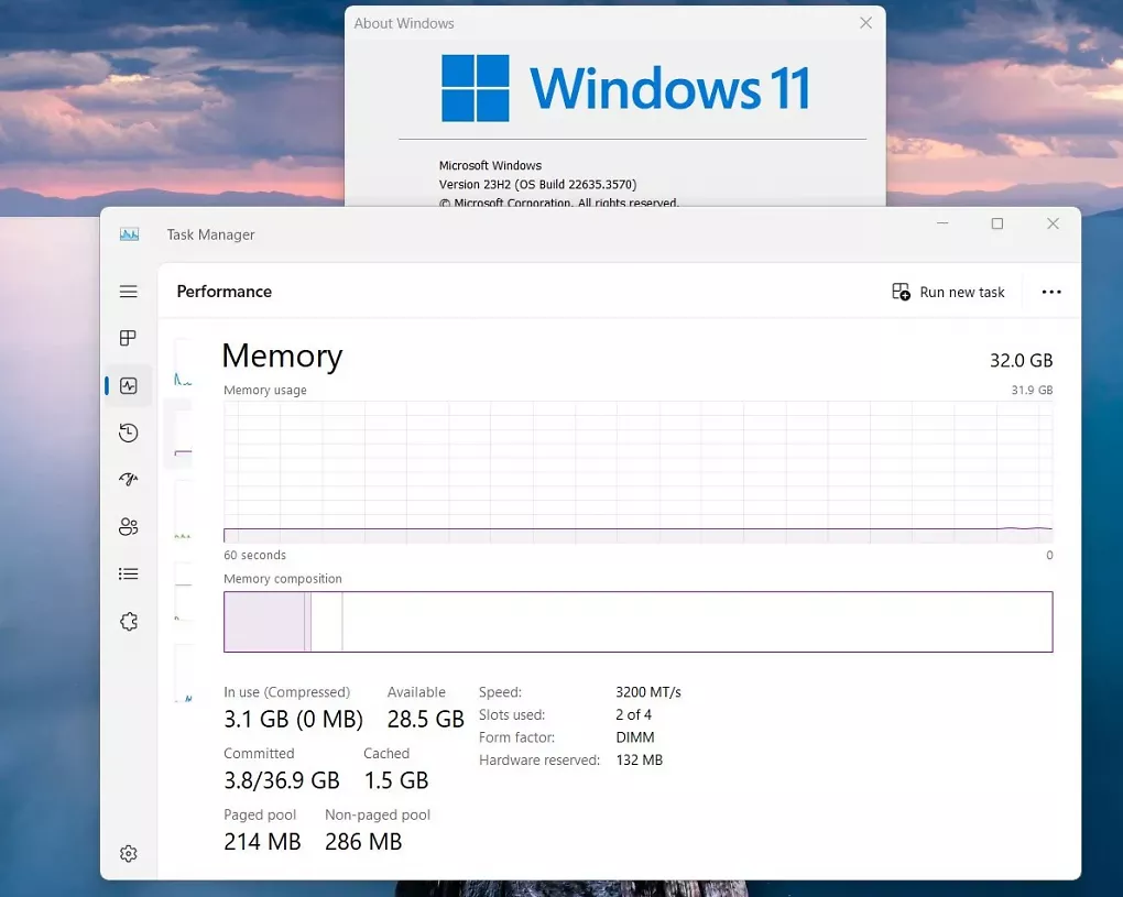 Windows 11