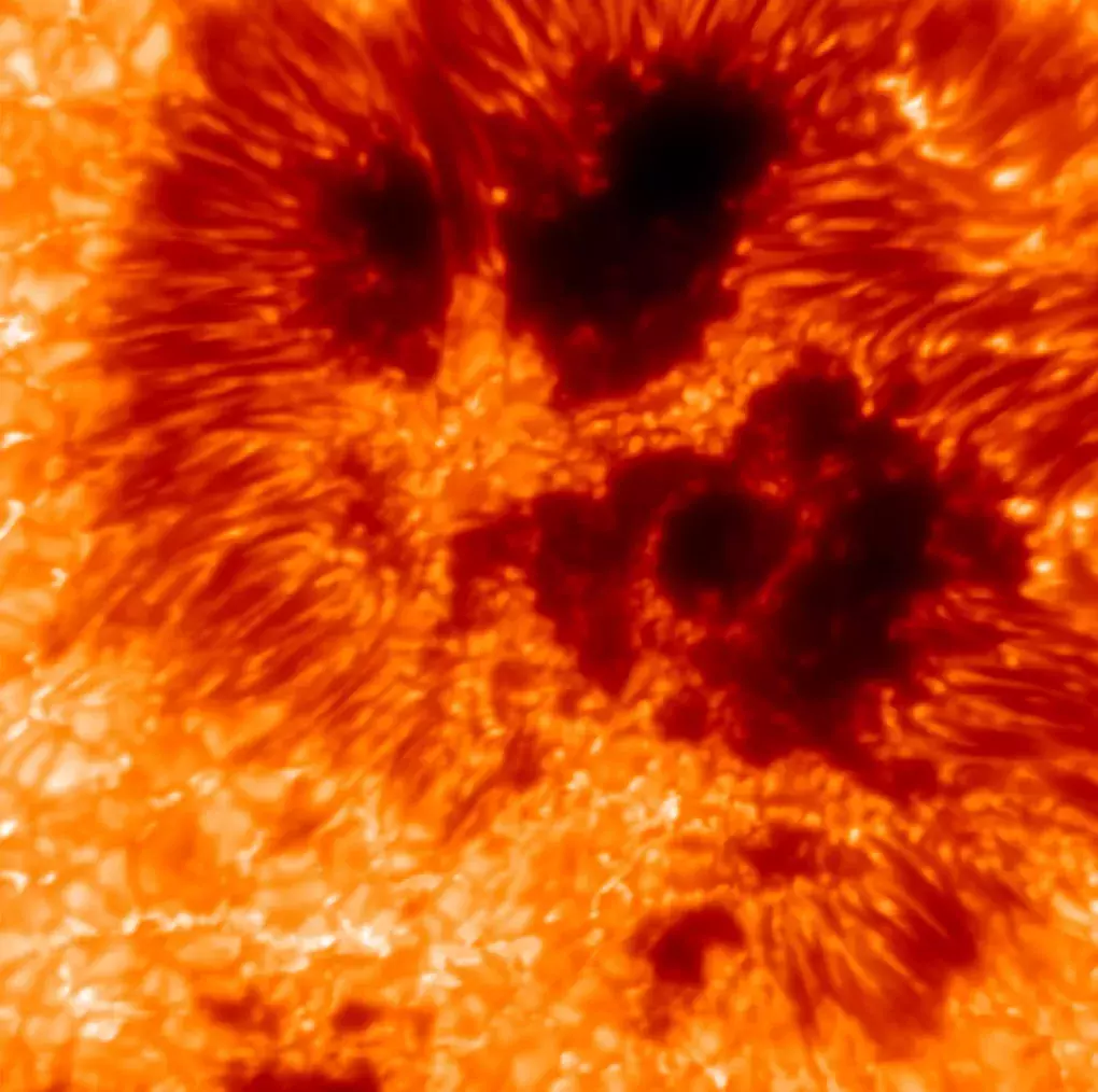 Mit Technik aus Deutschland: Weltgrößtes Solarteleskop liefert beeindruckendes Bild (1)