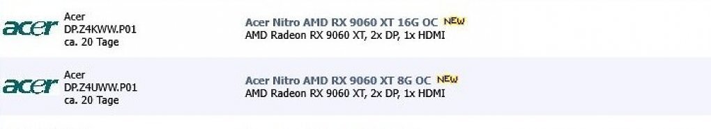 9060 XT
