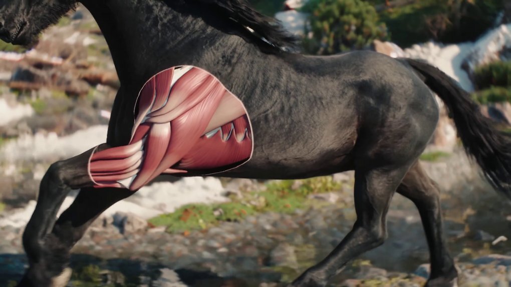Chaos Flesh gehört zu der UE5-Physiksammlung Chaos und simuliert unter der Haut gelegene Muskeln und Gewebe, um besonders realistische Animationen zu realisieren.