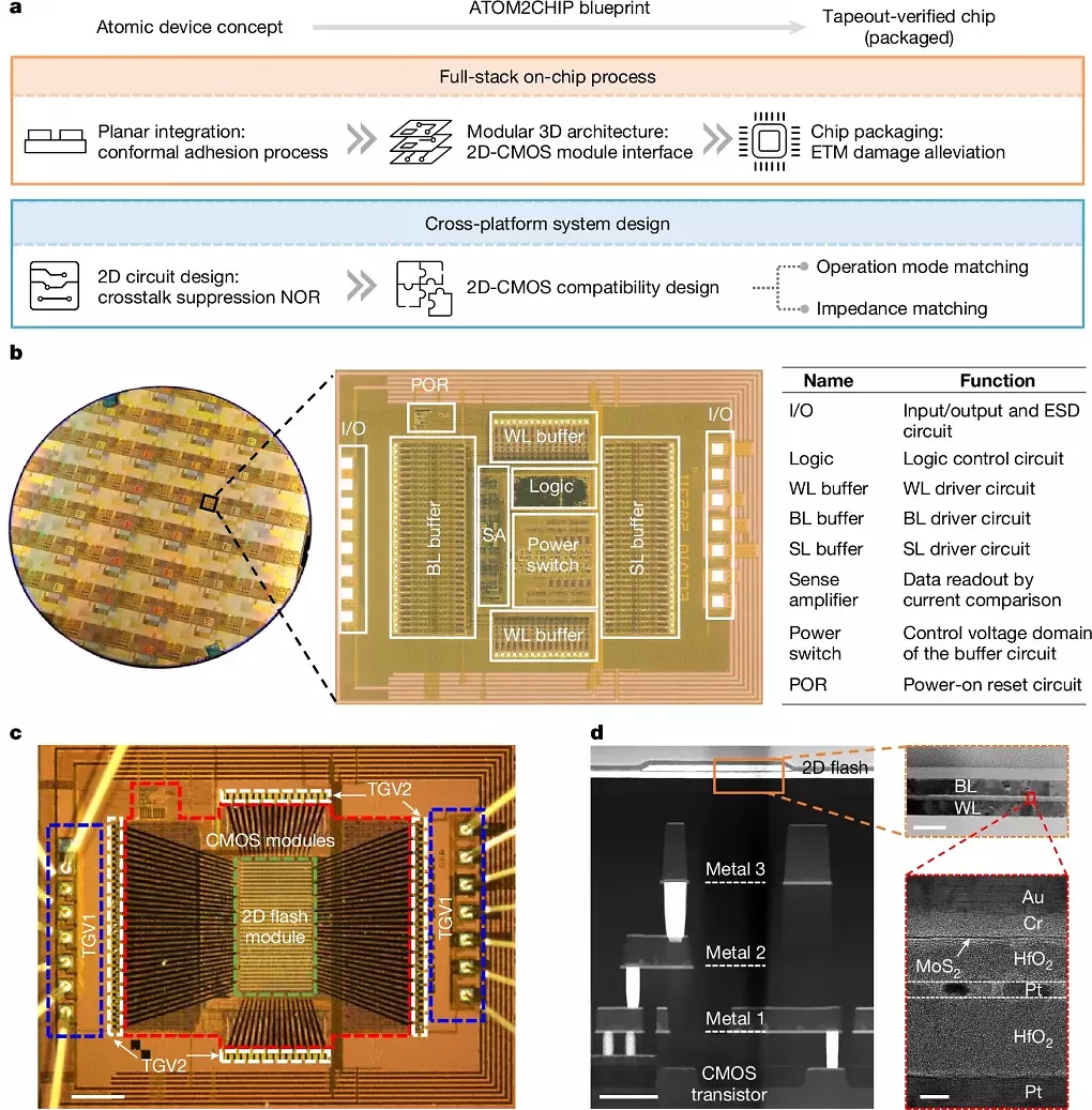'Meilenstein': Forschern gelingt Speicherchip-Durchbruch mit 2D-Materialien (1)
