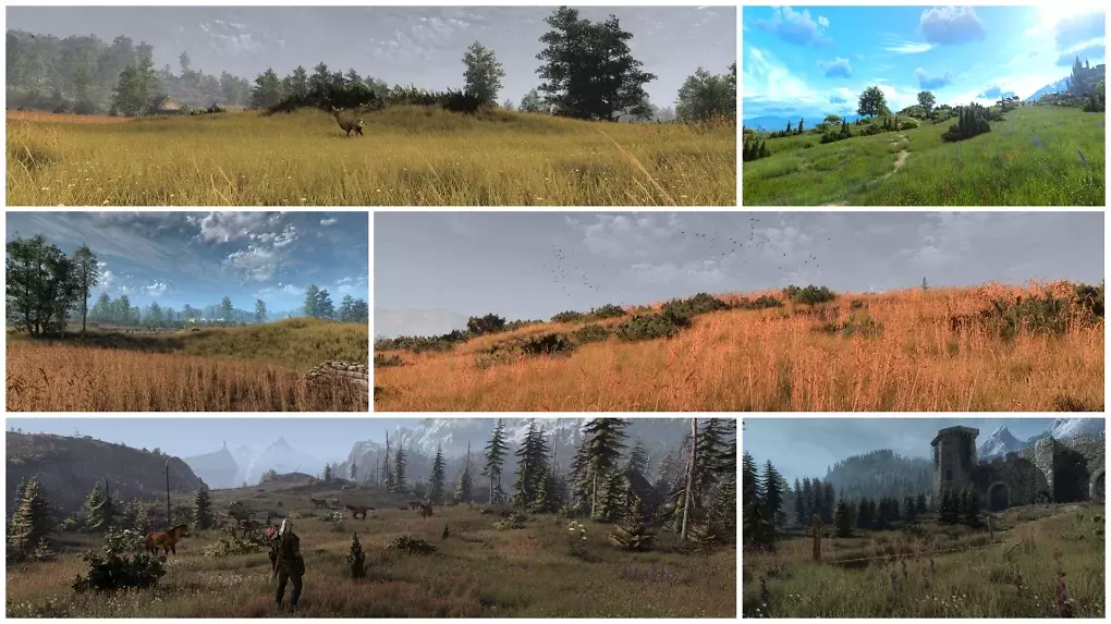 Impressionen aus Meadows Overhaul.