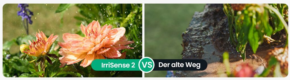 Evenrain Garten pflanzen Wasser Kosten